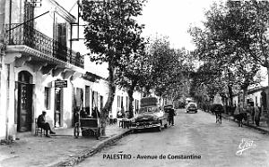 97- Palestro - Avenue de Constantine